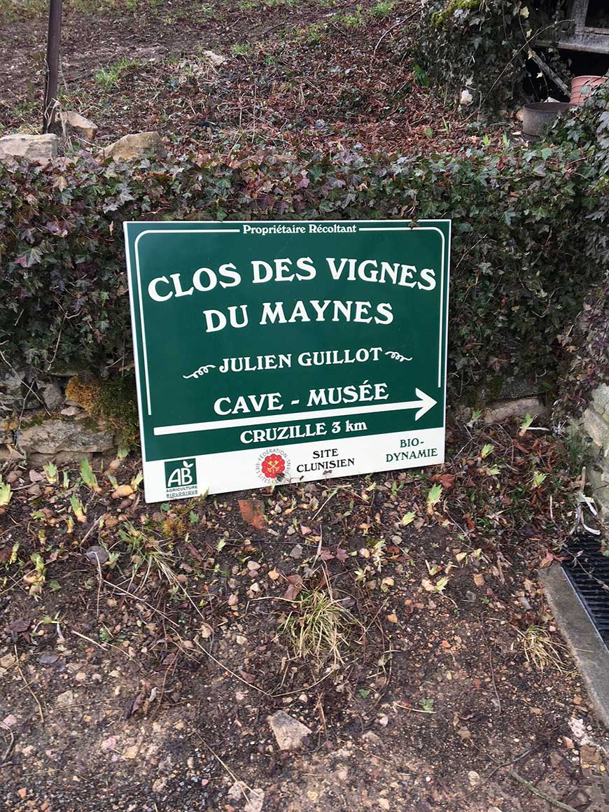 Vignes du Maynes